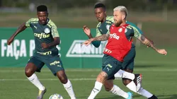 Comentarista da Fox não poupa críticas a medalhão do Palmeiras