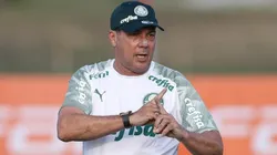 Foto: Divulgação/Palmeiras