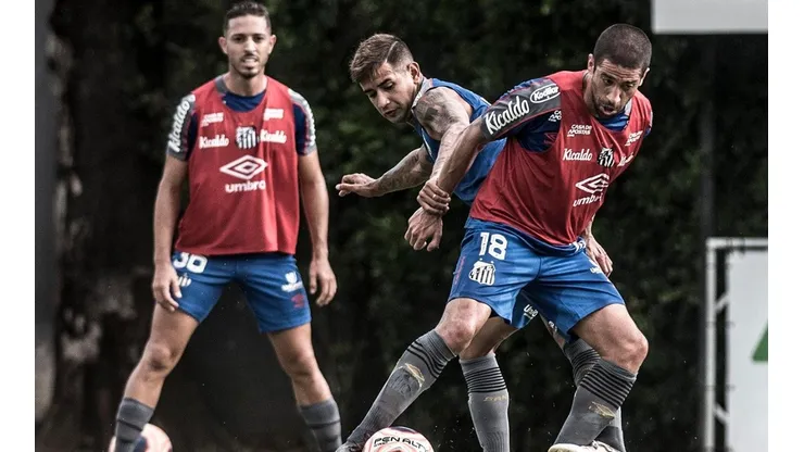 Foto: Ivan Storti/ Santos FC.