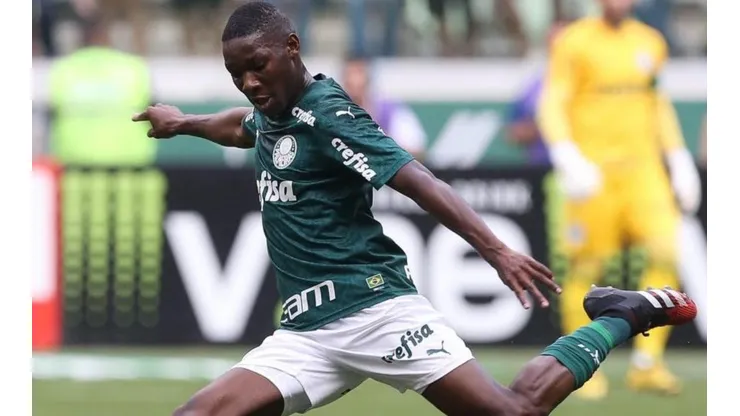 Foto: Cesar Grecco/ AG. Palmeiras.