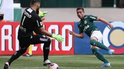 Foto: Cesar Greco/Palmeiras/Divulgação