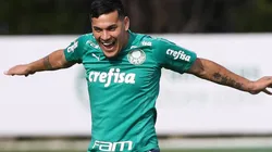 Gustavo Gómez se declara ao Palmeiras