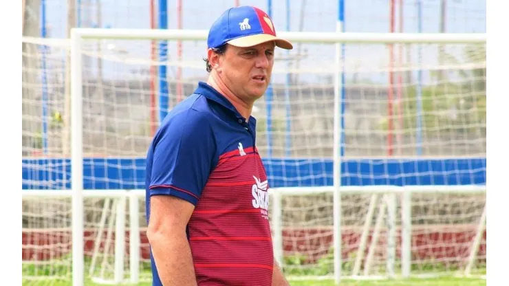 (Divulgação)