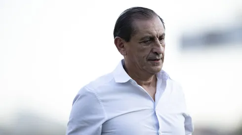 RJ - RIO DE JANEIRO - 27/04/2024 - BRASILEIRO A 2024, VASCO X CRICIUMA - Ramon Diaz tecnico do Vasco durante partida contra o Criciuma no estadio Sao Januario pelo campeonato Brasileiro A 2024.