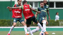 Foto: Cesar Greco/Palmeiras/Divulgação