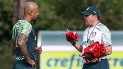 Cesar Greco/Palmeiras