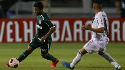 Foto: Cesar Greco/Palmeiras/Divulgação