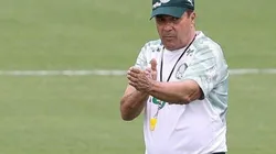 Luxemburgo elogia atuação do Palmeiras, rebate jornalista e critica arbitragem