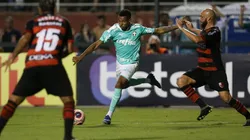 Um dos destaques do Vitória na Série B, o atacante retornou ao Verdão no início dessa temporada e tem agradado a diretoria