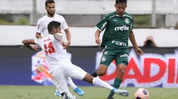 Foto: Cesar Greco/Palmeiras/Divulgação