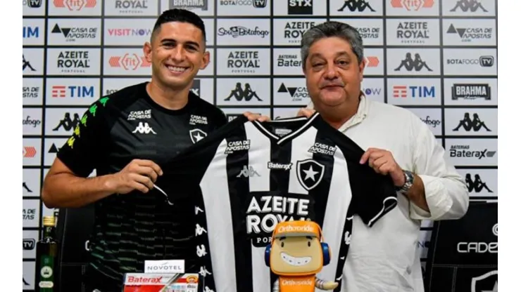 Thiago Ribeiro/Botafogo