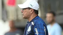 Foto: Cesar Greco/Palmeiras/Divulgação