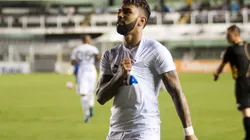 Ivan Storti/Santos