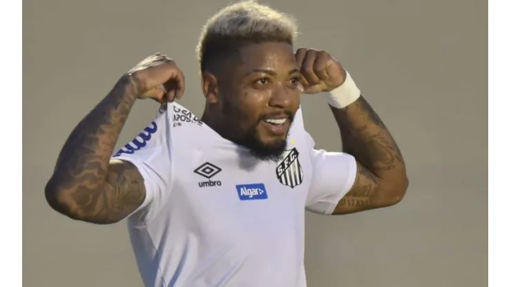 (Ivan Storti/Santos