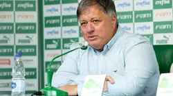 Foto: Fabio Menotti/Ag. Palmeiras