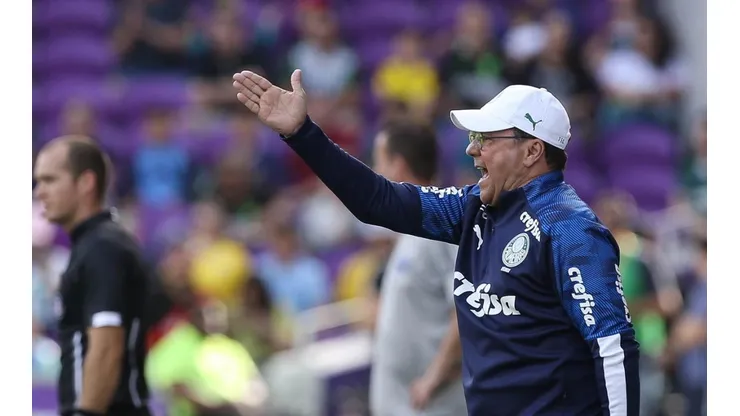 Luxemburgo revela planejamento para contratações no Palmeiras