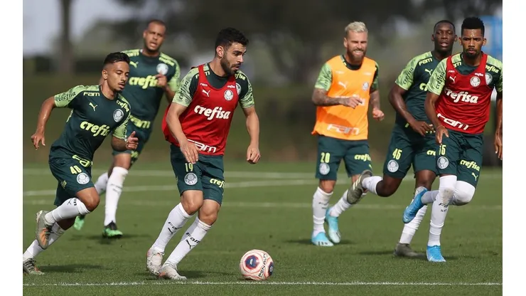 Luxa exalta medalhão contestado pela torcida do Palmeiras