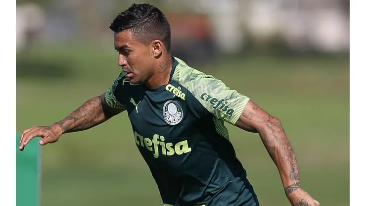 Dudu quer clássico na Libertadores e título da Flórida Cup