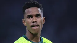Estevão, jogador do Palmeiras, durante partida contra o Bahia no estádio Arena Allianz Parque pelo Brasileirão Série A 2024. Foto: Ettore Chiereguini/AGIF