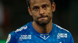 Palmeiras v Cruzeiro - Brasileirao Series A 2019