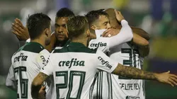 Foto: Cesar Greco/Ag Palmeiras/Divulgação