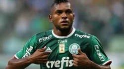 Crédito: Cesar Greco/Ag Palmeiras