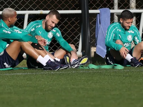 Empresário de meia do Palmeiras oferece jogador ao Santos