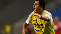 Fluminense v Corinthians - Serie A