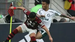 Verdão diz lamentar torcida única, mas irá acatar recomendações