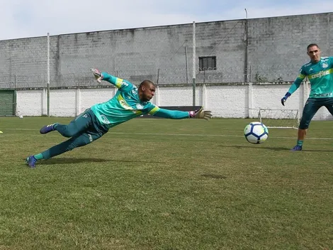 Palmeiras tem quatro jogadores com contrato no fim