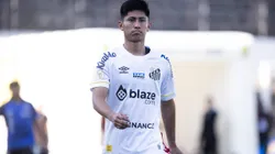 Foto: Abner Dourado/AGIF - Miguelito foi avisado sobre decisão da diretoria do Santos