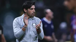 Palmeiras enfrentará Atlético-GO com retrospecto muito favorável. Foto: Ettore Chiereguini/AGIF