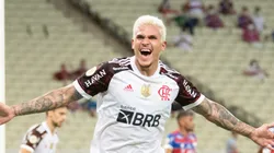 Pedro comemora gol pelo Flamengo diante do Fortaleza. Foto: Kely Pereira/AGIF
