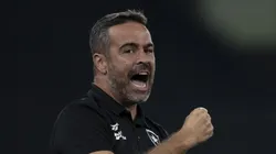 Artur Jorge, técnico do Botafogo. Foto: Jorge Rodrigues/AGIF