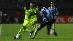 Grêmio x Palmeiras. Foto: Cesar Greco/ Palmeiras/ Flickr
