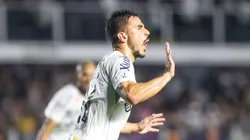 Willian comemorando gol do Santos contra a Chapecoense