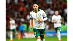 © Alamy Stock Photo Celso Pupo / Alamy Stock Photo | Raphael Veiga é uma das esperanças do Palmeiras
