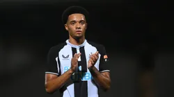 Lewis pertence ao Newcastle. Photo by Michael Regan/Getty Images