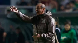RS - CAXIAS DO SUL - 29/08/2024 - COPA DO BRASIL 2024, JUVENTUDE X CORINTHIANS - Ramon Diaz tecnico do Corinthians durante partida contra o Juventude no estadio Alfredo Jaconi pelo campeonato Copa Do Brasil 2024. Foto: Luiz Erbes/AGIF