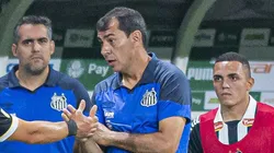 Carille durante jogo contra o Palmeiras. Técnico promove mudanças no Peixe.