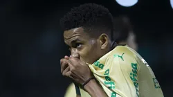 Estêvão do Palmeiras. Foto: Anderson Romão/AGIF