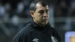 Carille diz entender pressão da torcida do Santos