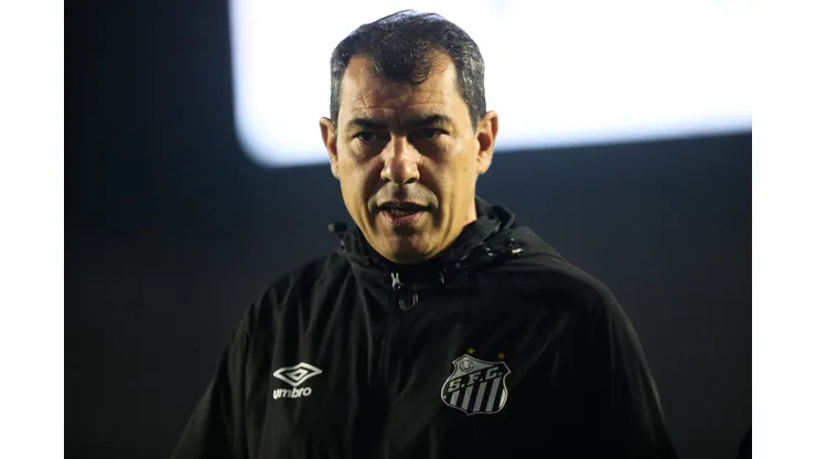 Fábio Carille em partida do Santos na Série B