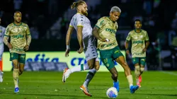 Palmeiras x Cuiabá pelo Campeonato Brasileiro A 2024. Foto: Marco Miatelo/AGIF