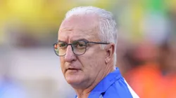Dorival Júnior durante a realização da Copa América.