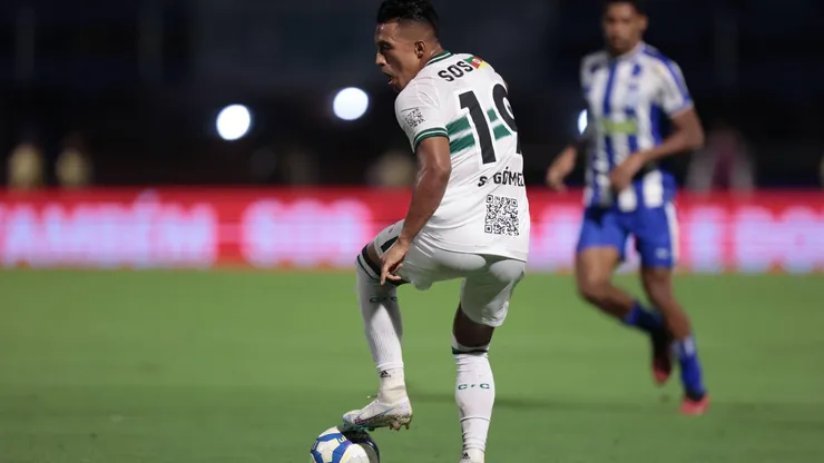 Coritiba recebe o Avaí no Couto Pereira (Foto: Sipa US / Alamy Stock Photo)