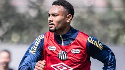 Wendel tem novo cenário exposto na comissão técnica do Peixe