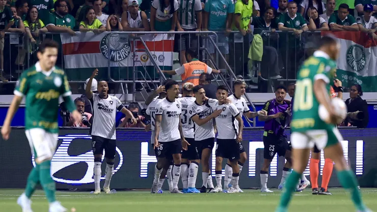 Botafogo elimina Palmeiras da Libertadores