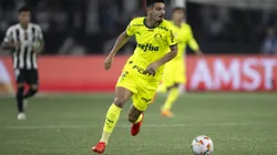 Flaco Lopez jogador do Palmeiras durante partida contra o Botafogo no estadio Engenhao pelo campeonato Copa Libertadores 2024