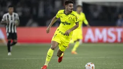 Palmeiras precisa de vitória sobre o Botafogo para avançar na Libertadores (Foto: AGIF / Alamy Stock Photo)